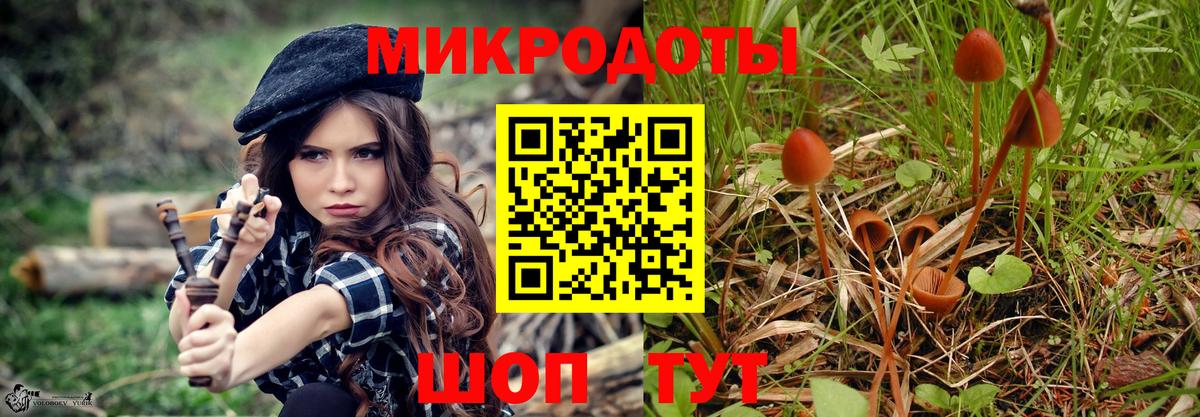 Сергиев Посад  Псилоцибиновые грибы Psilocybine cubensis  Псилоцибиновые грибы MAGIC MUSHROOMS  Вход с VPN 
